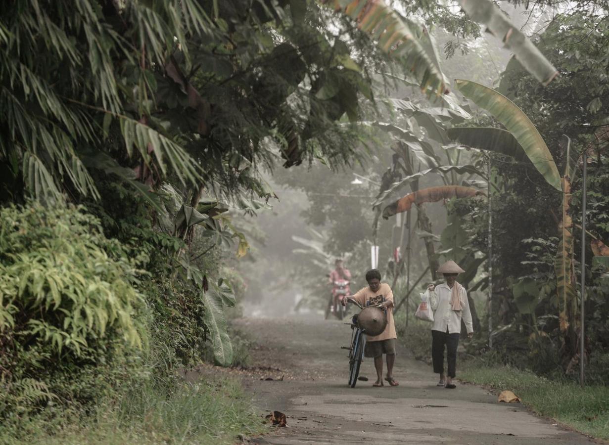 Omah Minggir * Sleman (Yogyakarta)