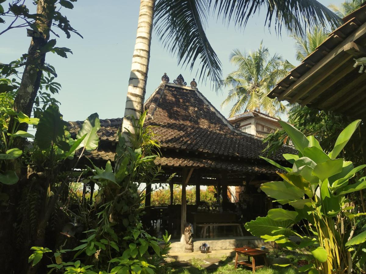 Omah Minggir Sleman (Yogyakarta)