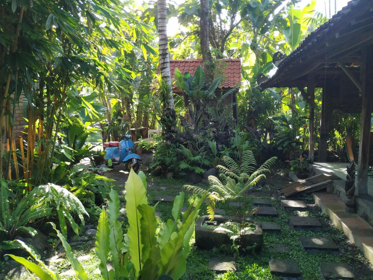 Homestay Omah Minggir