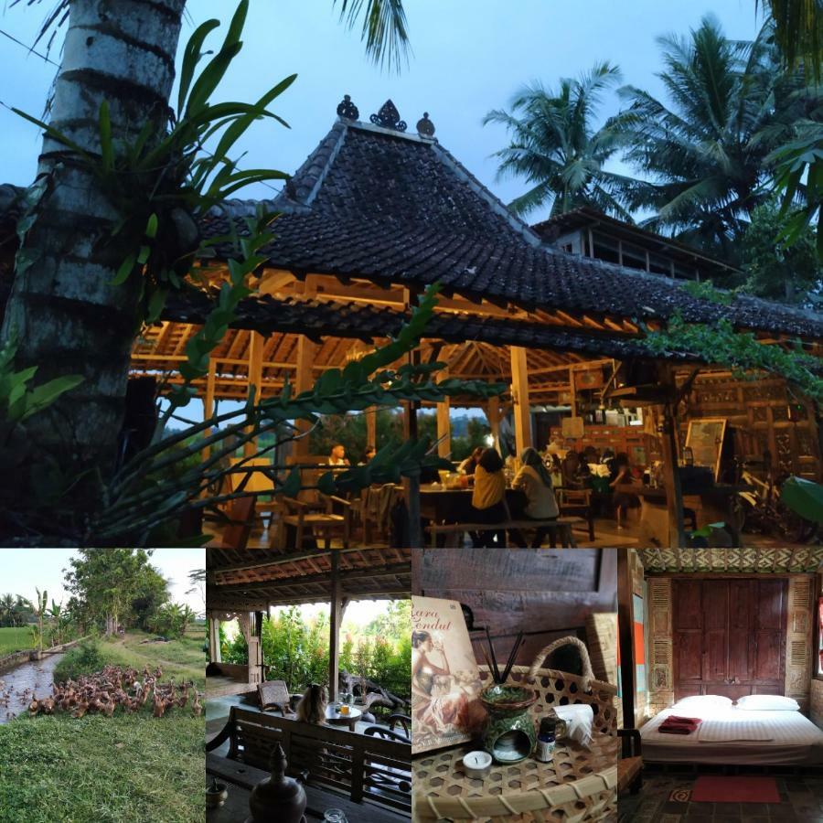 Omah Minggir Homestay